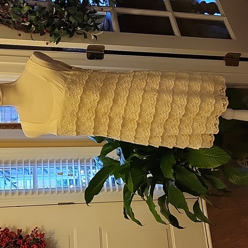 KUT from the Kloth cream silk lace sleeveless dress lined Side zip Size 6 NEW…